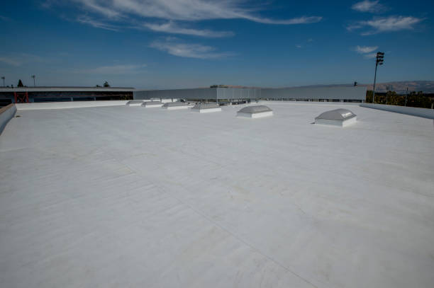 Best Steel Roofing  in Houston, TX